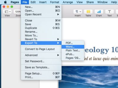 how to convert pages to docx on mac