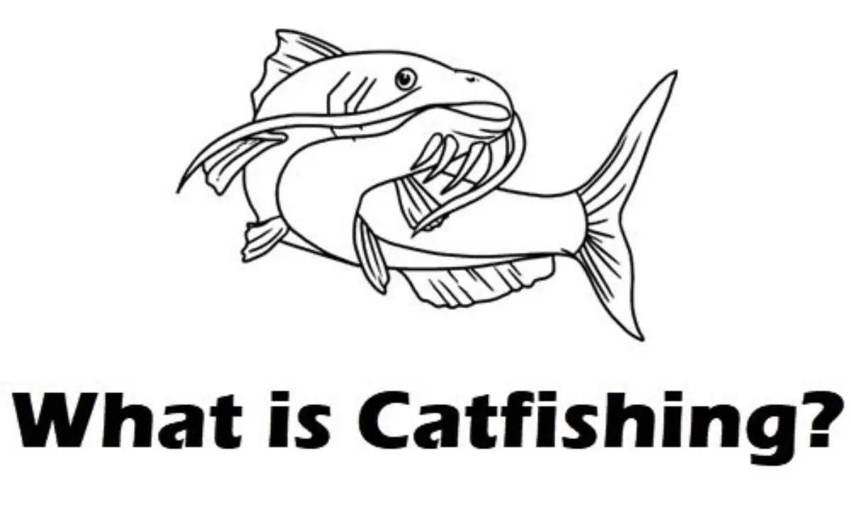 Internet Catfishing картинки