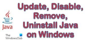 How To Download And Install Java JDK On Windows 11/10