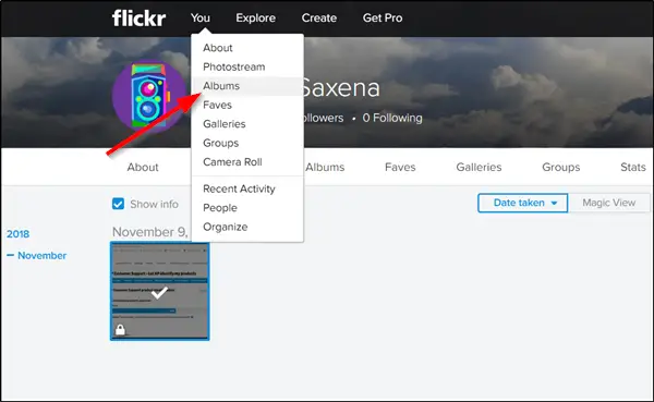 How to download Flickr photos and data - 28