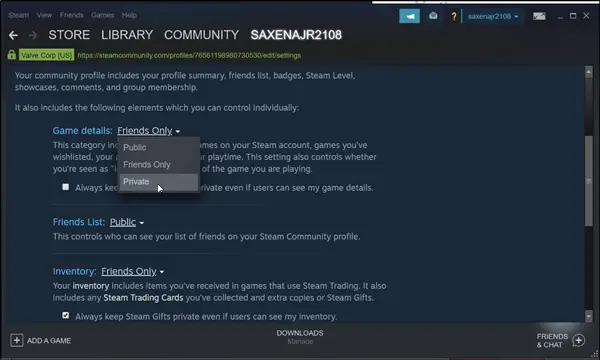 How to Hide Activity in Steam