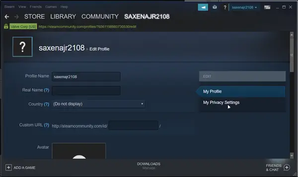 How to hide Steam activity - PC Guide