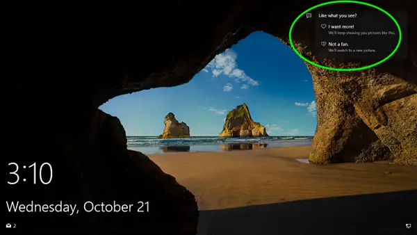 How to turn on Windows Spotlight Like What You See option - 15