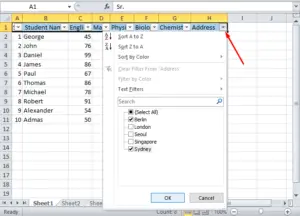 Microsoft Excel Tips and Tricks for beginners