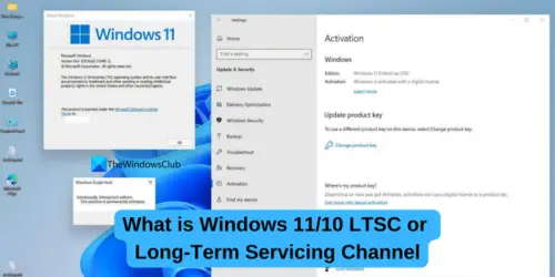 What is Windows 11/10 LTSC or Long-Term Servicing Channel?