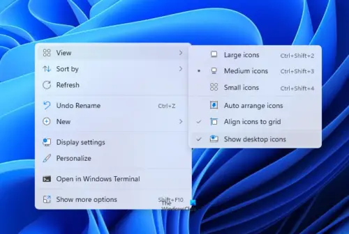 How to Unhide or Hide Desktop icons in Windows 11/10