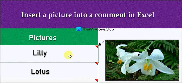 insert a picture into a comment in Excel
