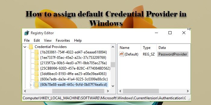 How to assign default Credential Provider in Windows