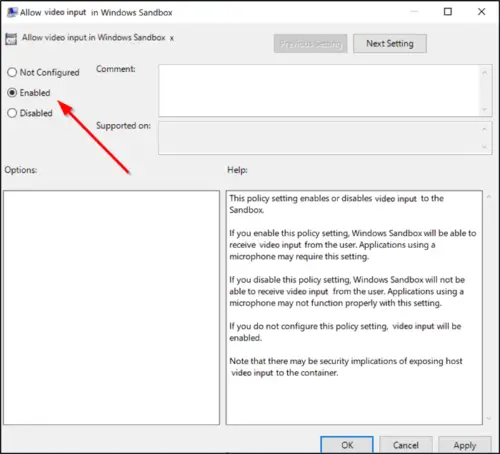 Enable or disable Video Input in Windows Sandbox