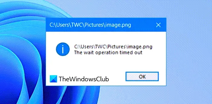 The wait operation timed out while opening Pictures