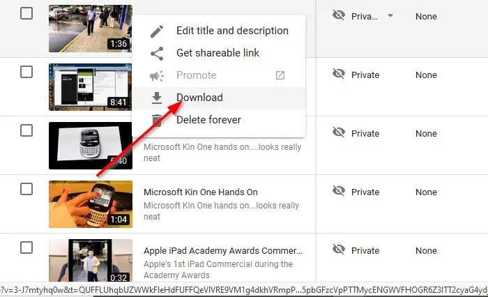 private youtube video downloader