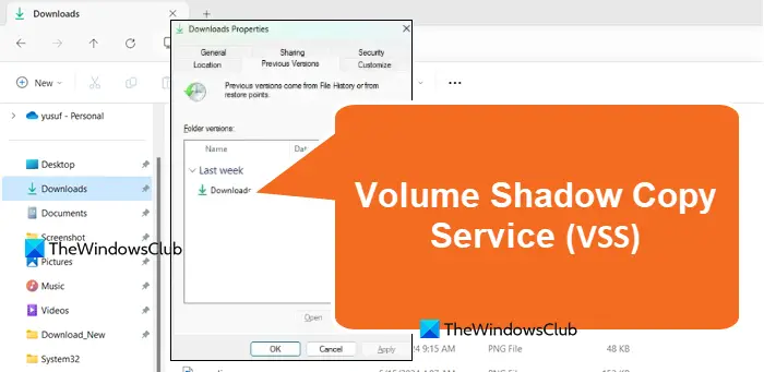 VSS or Volume Shadow Copy Service 