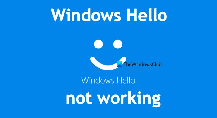 Windows Hello not working