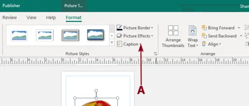 Add, Move and Modify Image or Picture in Publisher