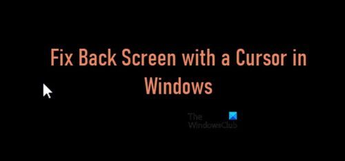 Black Screen Troubleshooter will fix Blank screen errors on Windows 11/10