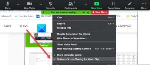 Optimize Screen Share for a Video Clip in full screen in Zoom