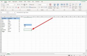 How to use DCOUNT and DCOUNTA Function in Excel