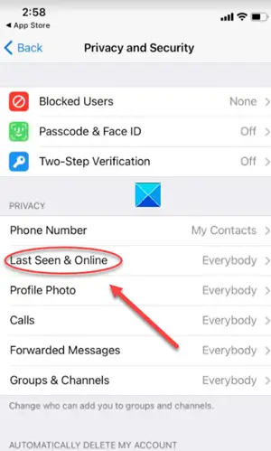 How to hide Last Seen on Telegram app - 7
