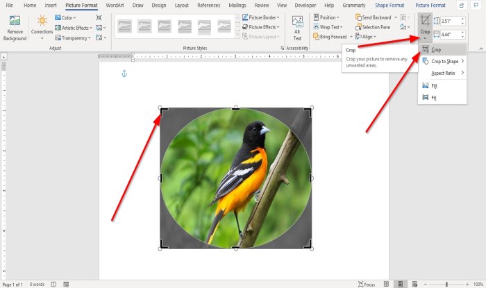  How To Insert A Picture Into A Shape In Word 