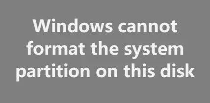 Windows cannot format the system partition on this disk