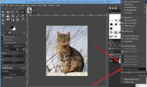 How to remove the Background from a Photo using GIMP