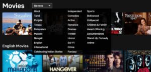 How to change the language on Netflix