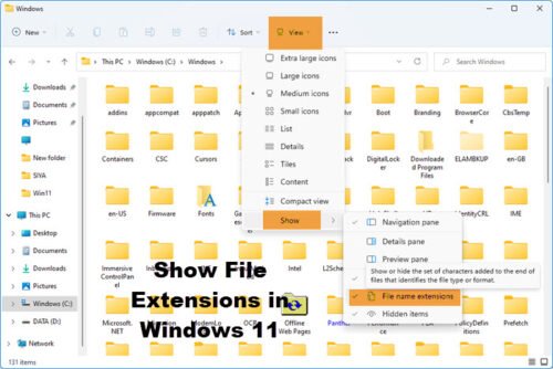 Show File Extensions in Windows 11