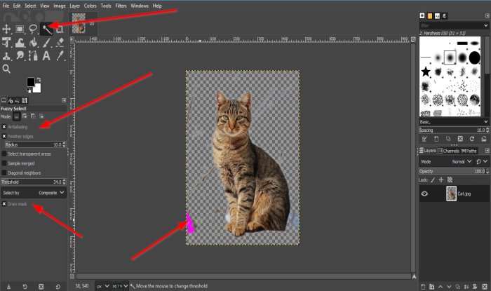 How to remove the Background from a Photo using GIMP