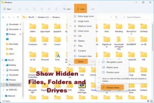 How to show Hidden Files and Folders in Windows 11/10