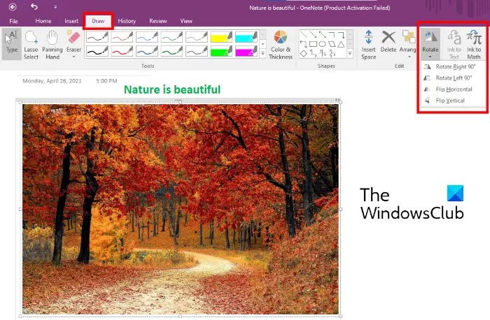 how-to-rotate-and-crop-a-picture-in-onenote-erofound