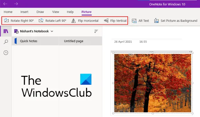 how-to-crop-an-image-in-onenote-wilcox-metur1977