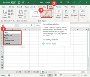 How to use Automatic Data Type feature in Excel