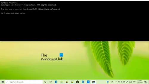 new windows terminal release date