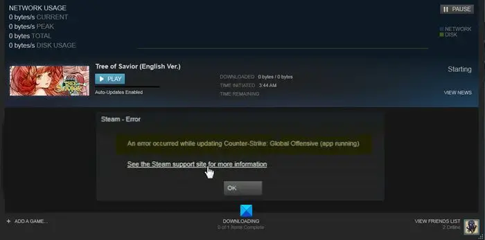 Steam could error