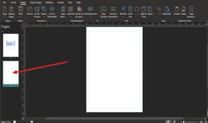 How to use the Page Options in Microsoft Publisher