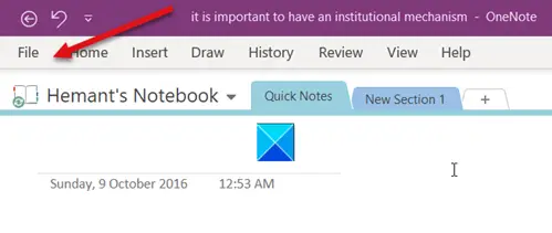 OneNote File tab