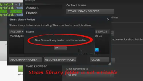 The steam registry path is currently not writable что делать