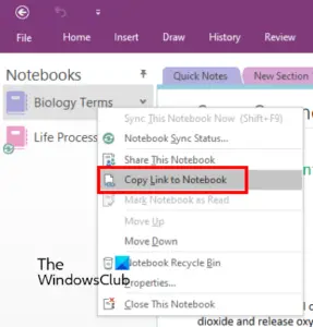 link onenote to todo