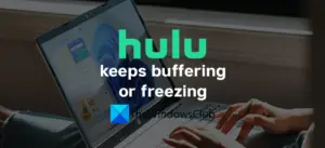 Fix Hulu keeps buffering or freezing on Windows 11/10