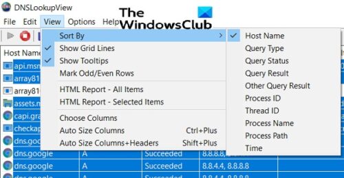download the new version DNSLookupView 1.12