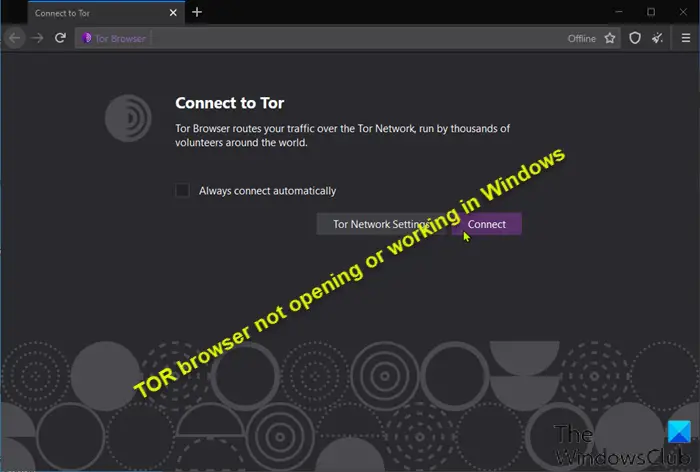 TOR browser not opening or working in Windows