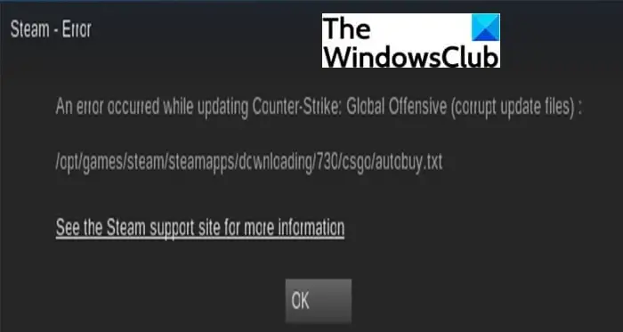 Fix Steam Corrupt Update Files error on Windows PC