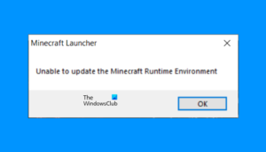 Minecraft runtime environment not found minecraft что делать