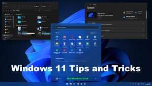 Windows 11 Tips and Tricks to make the best of its features