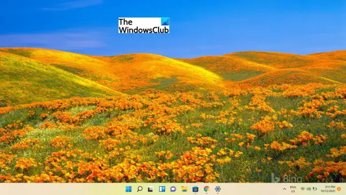 Download Free Windows 7 Best of Bing 5 Theme
