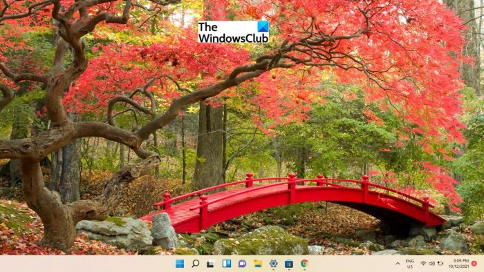Best Free Windows 11 Themes from Microsoft Store