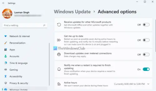 Windows Update Settings in Windows 11