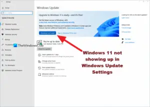 Windows 11 Not Showing Up In Windows Update Settings