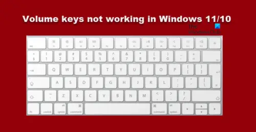 keyboard-volume-keys-not-working-in-windows-11-10