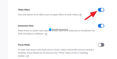 how to enable video filters on zoom